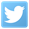 Twitter Logo